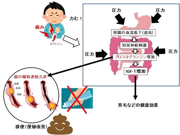 円形脱毛症　病院